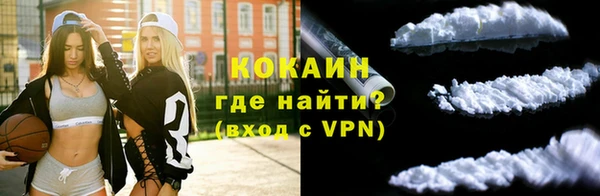 ешки Вяземский
