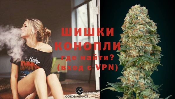 ешки Вяземский