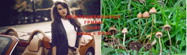 ешки Вяземский